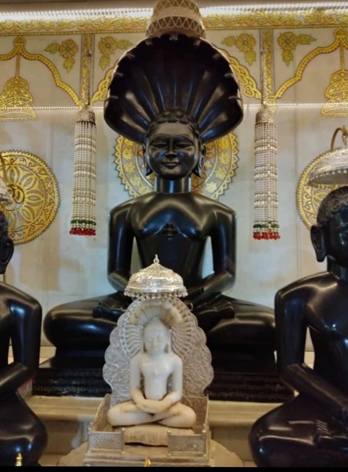 Shri 1008 Parshvnath Digamber Jain Mandir, Jamner, District-Guna (Madhya Pradesh) thumbnail 3