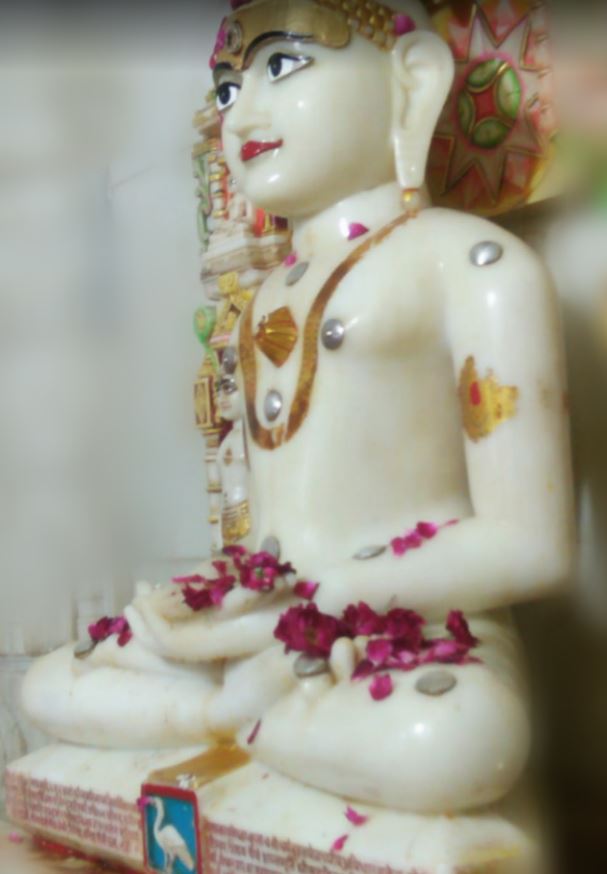 Shri Shanti Sumatinath Jain Mandir, Meghnagar, District-Jhabua (M.P.) image 3