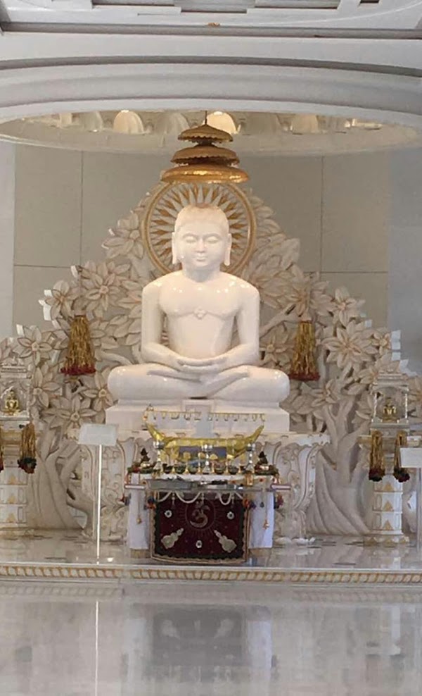Shri Chandraprabh Digamber Jain Mandir, Itwari Mohalla, Shahdol (Madhya Pradesh) image 1