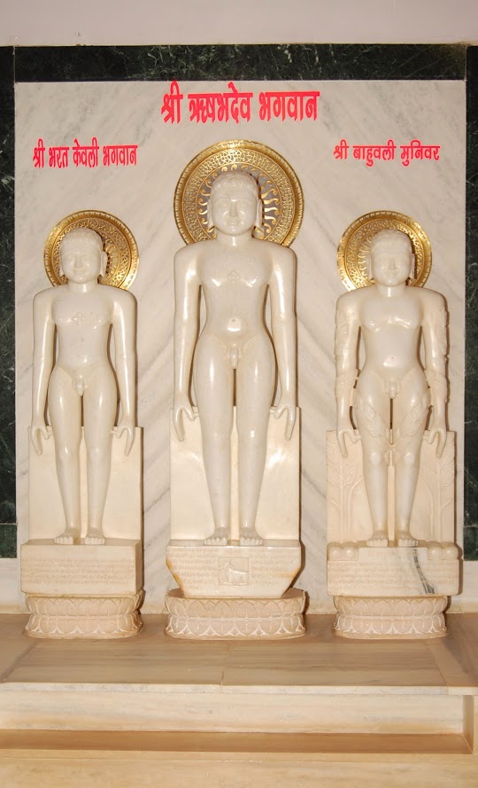 Shri Simandhar Swami Digamber Jain Mandir, Pragati Bazar, Shivpuri (Madhya Pradesh) thumbnail 4