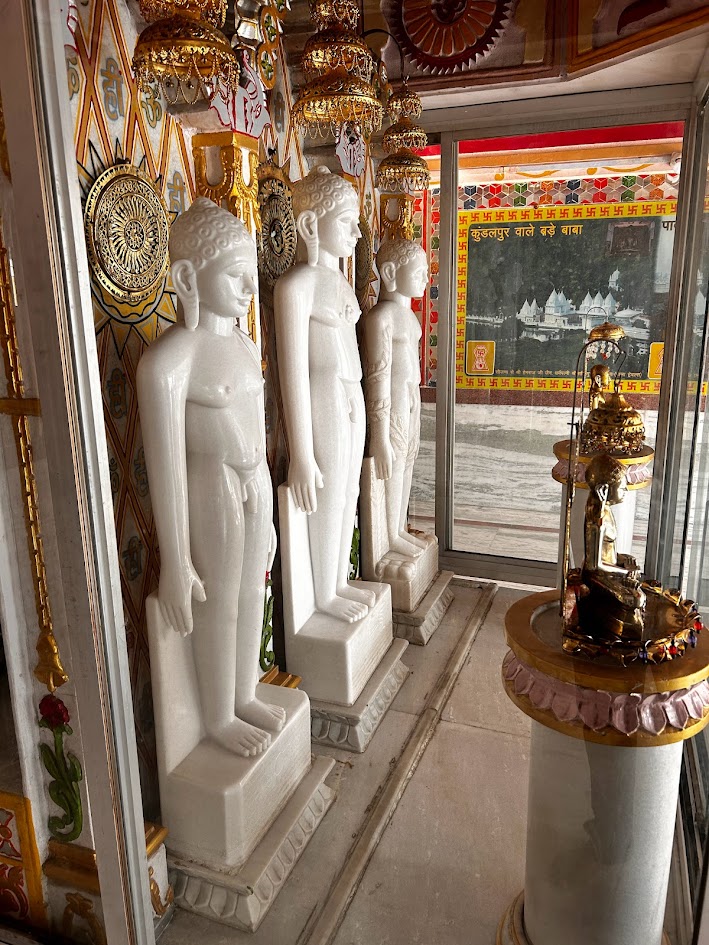 Shri 1008 Parshvnath Digamber Jain Mandir, Bagh Umrao Dulha, Bhopal (M.P.) image 8