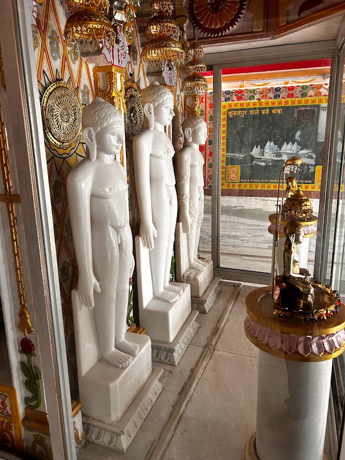 Shri 1008 Parshvnath Digamber Jain Mandir, Bagh Umrao Dulha, Bhopal (M.P.) image 9