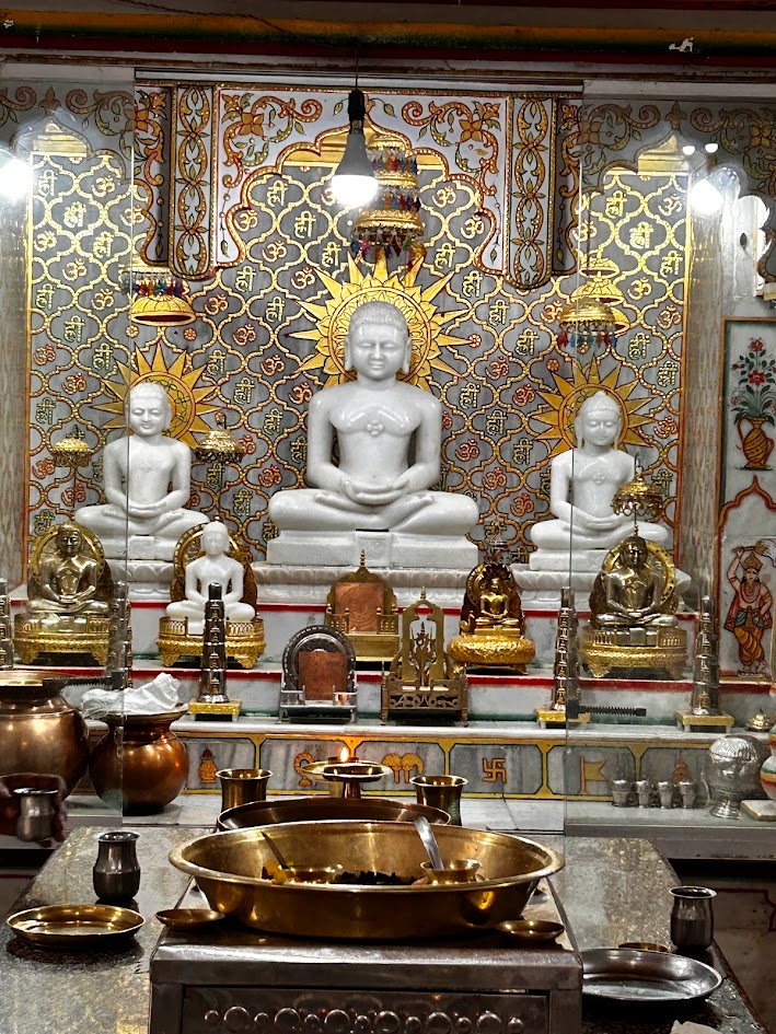 Shri 1008 Parshvnath Digamber Jain Mandir, Bagh Umrao Dulha, Bhopal (M.P.) image 19