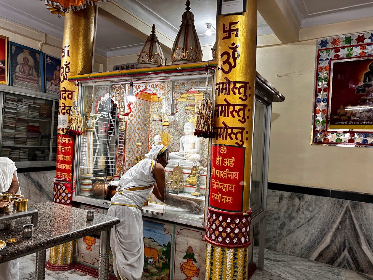Shri 1008 Parshvnath Digamber Jain Mandir, Bagh Umrao Dulha, Bhopal (M.P.) image 21