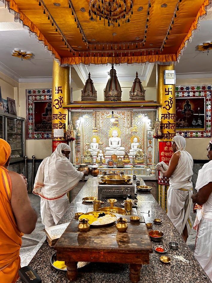 Shri 1008 Parshvnath Digamber Jain Mandir, Bagh Umrao Dulha, Bhopal (M.P.) image 22