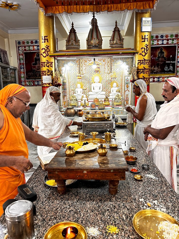 Shri 1008 Parshvnath Digamber Jain Mandir, Bagh Umrao Dulha, Bhopal (M.P.) image 23