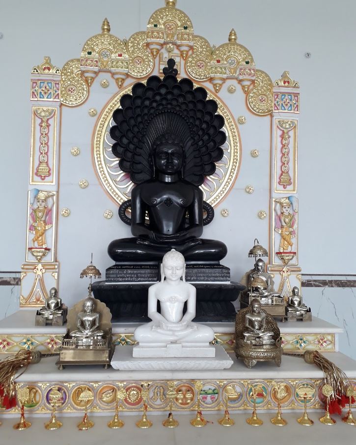Shri 1008 Parshvnath Digamber Jain Mandir, Rajwansh Colony, Navi Bagh, Bhopal (M.P.) image 1