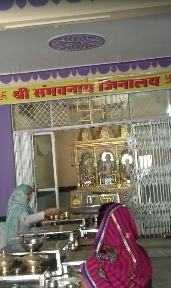 Shri 1008 Sambhavnath Digamber Jain Mandir, Shiv Nagar, Oriya Basti Colony, Bhopal (M.P.) image 3