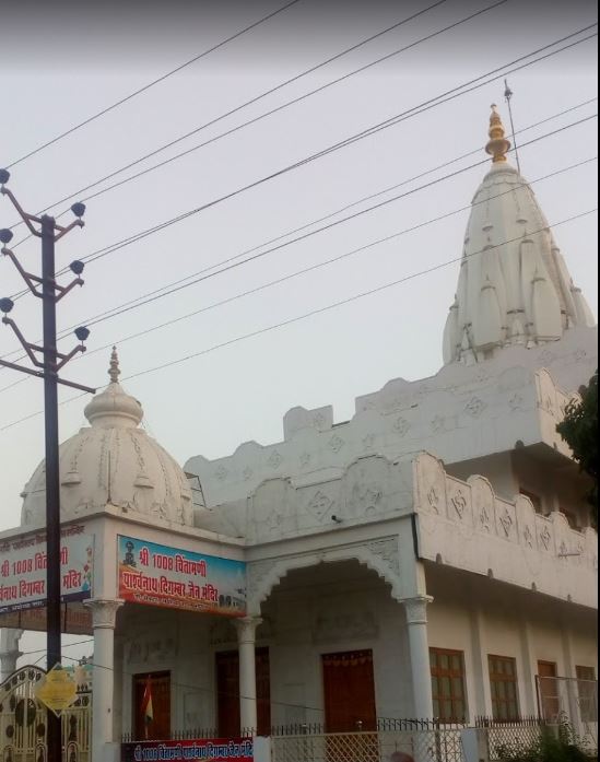 Shri 1008 Chintamani Parshvnath Digamber Jain Mandir, D Sector, Ayodhya Nagar, Bhopal (Madhya Pradesh) image 2