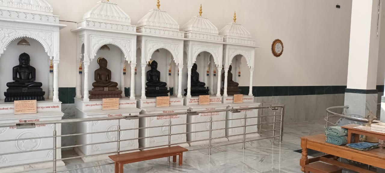 Shri 1008 Parshvnath Digamber Jain Mandir, Narmada Parisar, Nayapura, Bhopal (M.P.) image 7