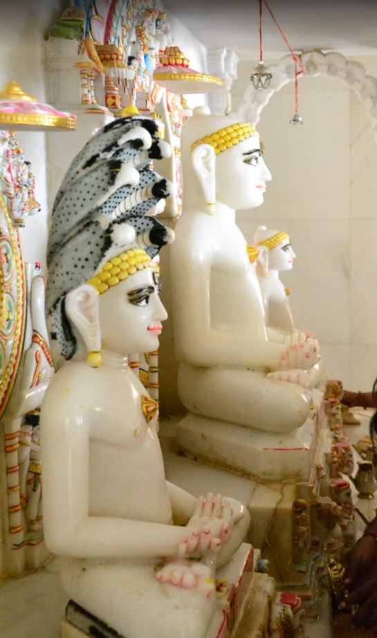 Shri Jain Dadawadi, Regiment Road, Shahjahanabad, Bhopal (Madhya Pradesh) image 7