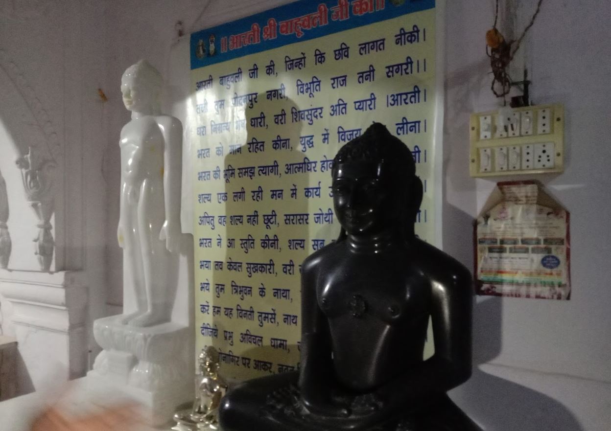Bhagwan Mahaveer Digamber Jain Bada Mandir, Karera, District - Shivpuri (Madhya Pradesh) image 5