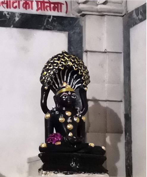 Shri Dharam Mangal Sheetalnath Jain Shwetamber Tirth, Sarafa, Jabalpur (Madhya Pradesh) image 10