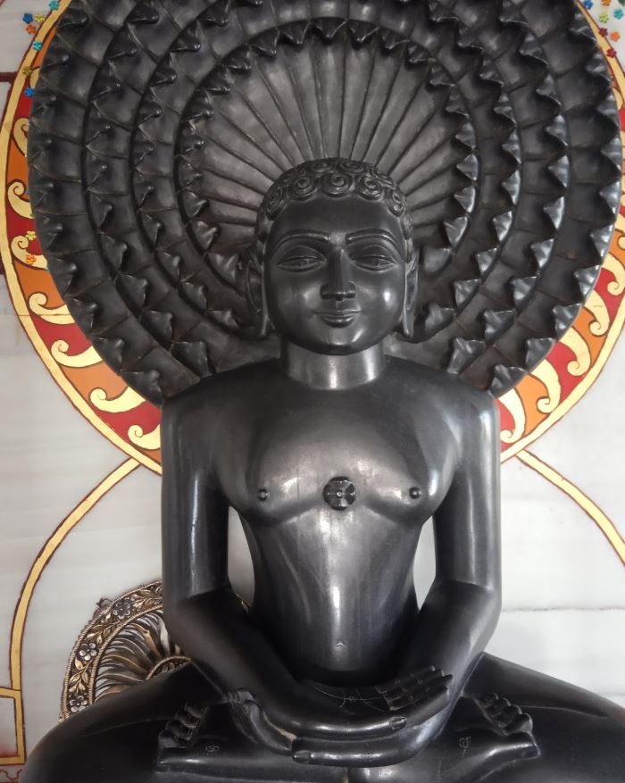 Shri Digamber Jain Mandir, Laklaka, District - Damoh (Madhya Pradesh) image 5