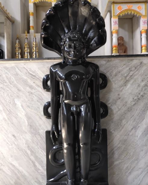 Shri Sarvodaya Mahatirth Digamber Jain Mandir, Malaygiri, Ambikapuri, Indore (Madhya Pradesh) image 6
