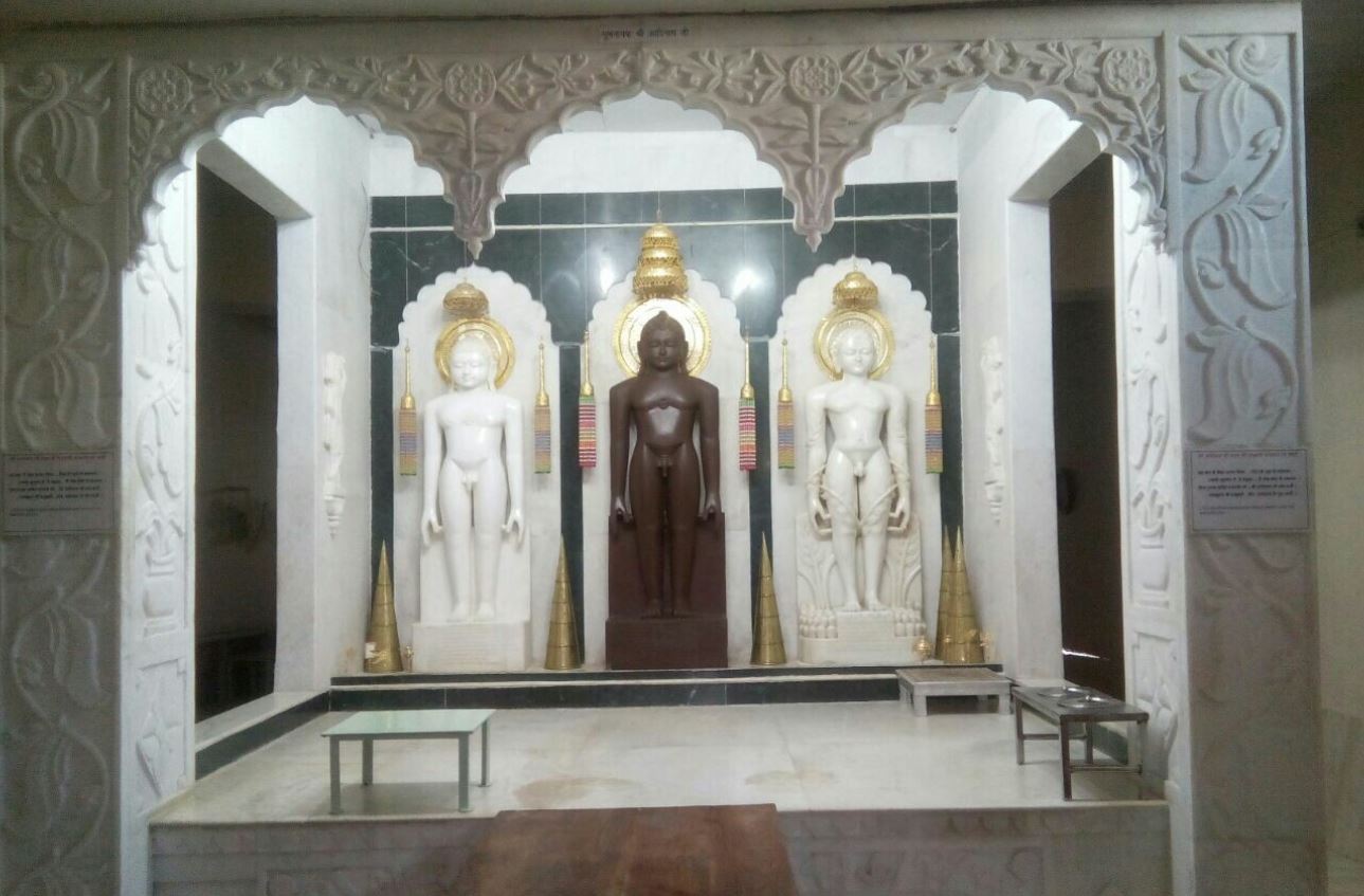Shri 1008 Adinath Digamber Jain Mandir, Mandi Bamora, District - Sagar (M.P.) image 7