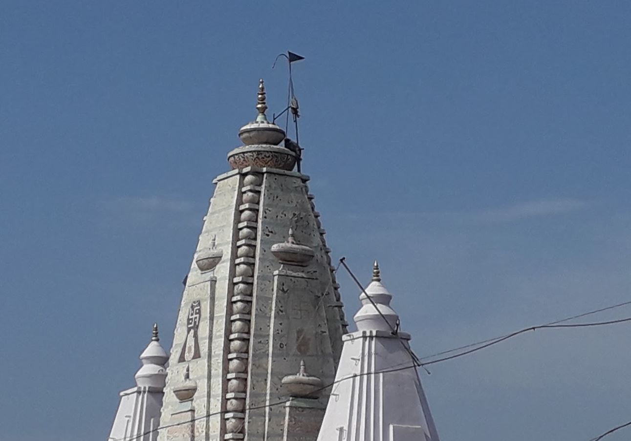 Shri 1008 Parshvnath Digamber Jain Mandir, Lateri, District - Vidisha (M.P.) image 2