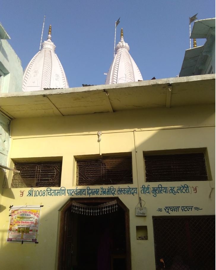 Shri 1008 Chintamani Parshvnath Digamber Jain Mandir Sanskaodaya Tirth, Murariya, District - Vidisha (M.P.) image 1