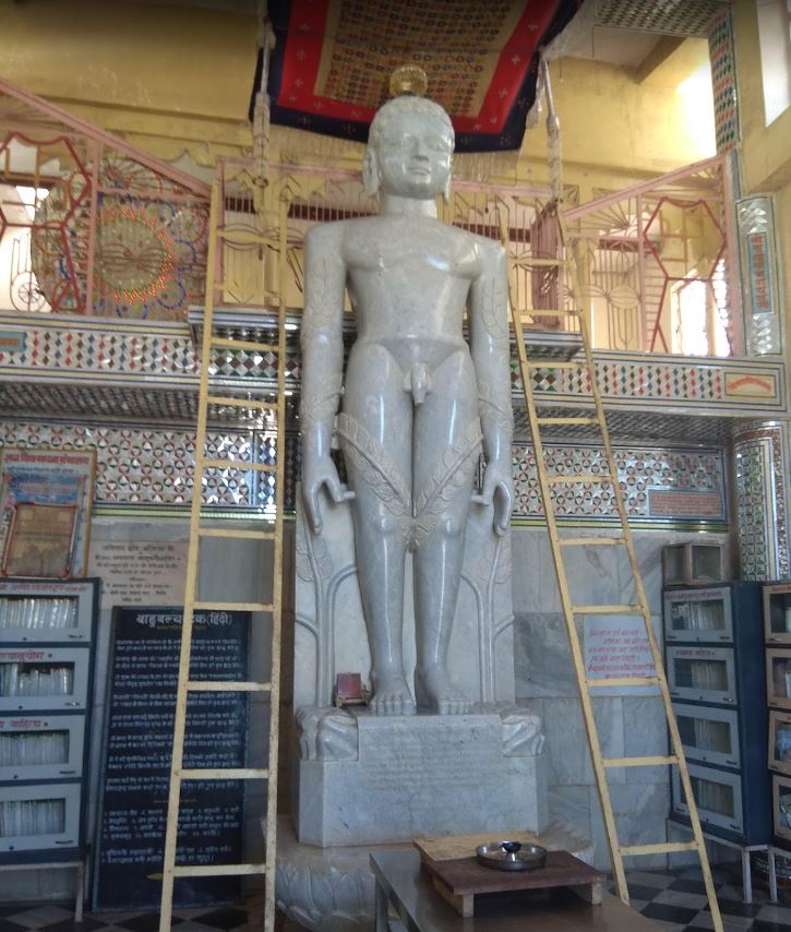 Shri 1008 Digamber Jain Jinodya Tirth Kshetra Nasiya, Sironj, District - Vidisha (M.P.) image 11