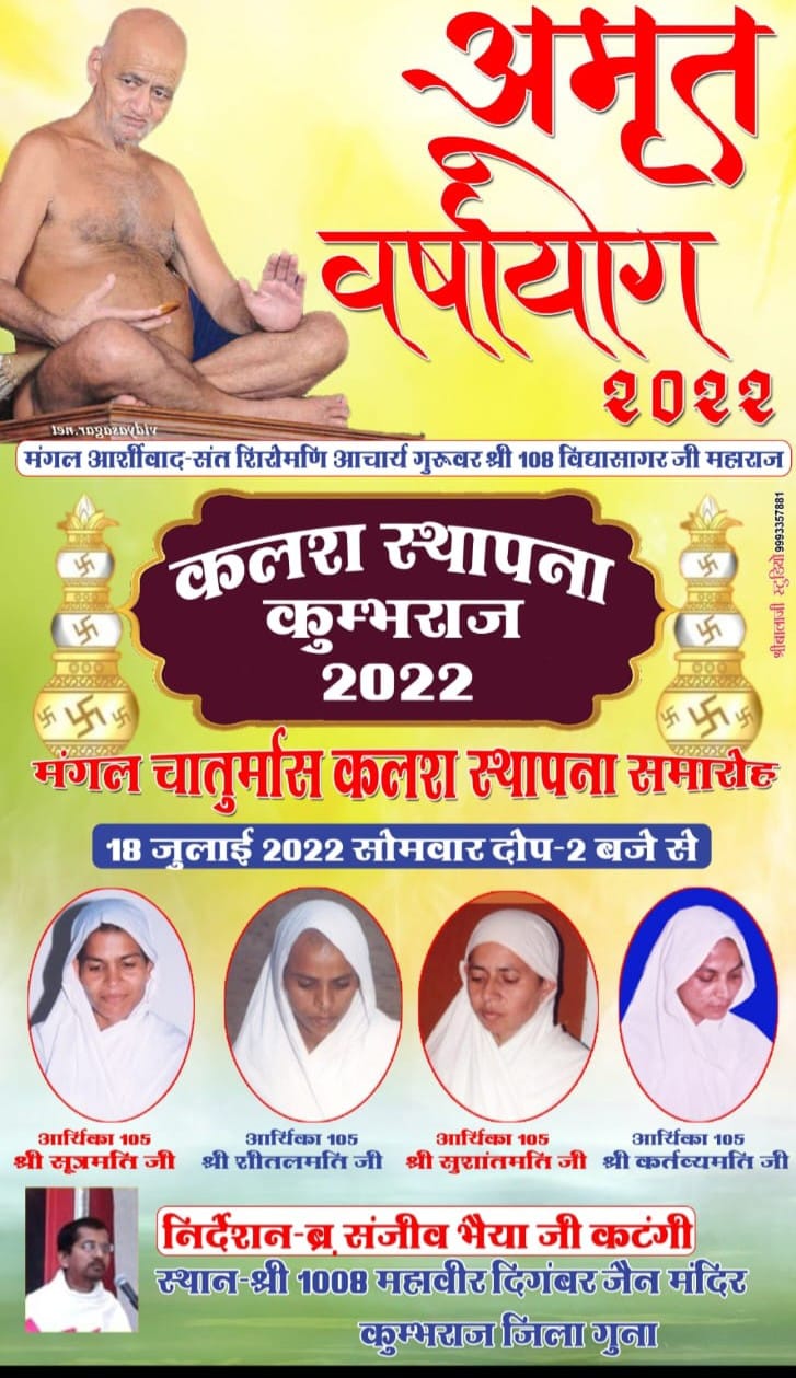 Shri Mahaveer Digamber Jain Mandir, Kumbhraj, District - Guna (Madhya Pradesh) image 3
