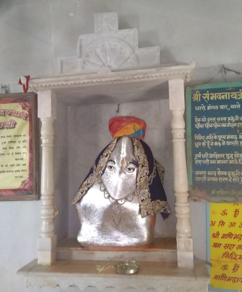 Shri Bhoyrawala Adinath Jain Shwetamber Mandir, Badnawar, District - Dhar (M.P.) image 7
