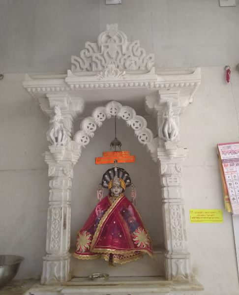 Shri Bhoyrawala Adinath Jain Shwetamber Mandir, Badnawar, District - Dhar (M.P.) image 13