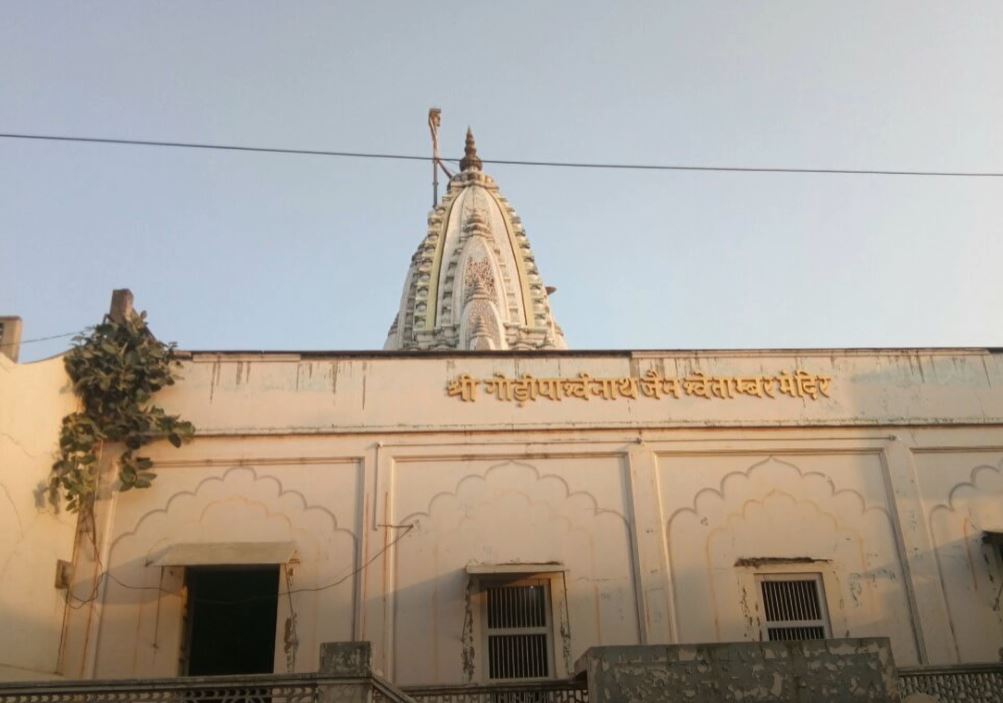 Shri Godi Parshvnath Jain Shwetamber Mandir, Khachrod, District - Ujjain (M.P.) image 1