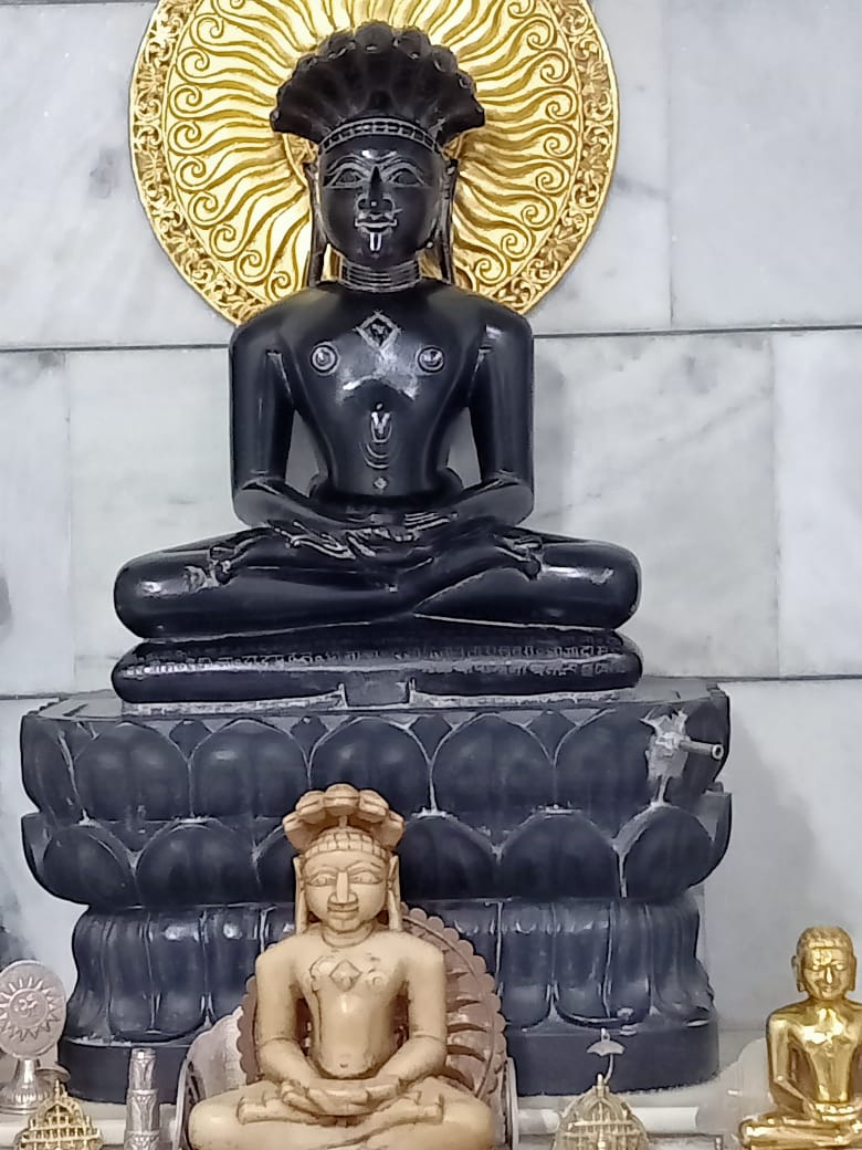 Shri 1008 Chintamani Parshvnath Digamber Jain Atishaya Kshetra, Kethuli, District - Mandsaur (M.P.) image 5