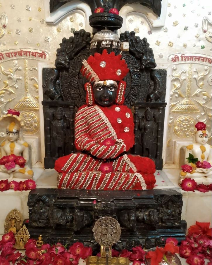 Shri Rishabhdev Jain Shwetamber Mandir, Narayangarh, District - Mandsaur (M.P.) image 3