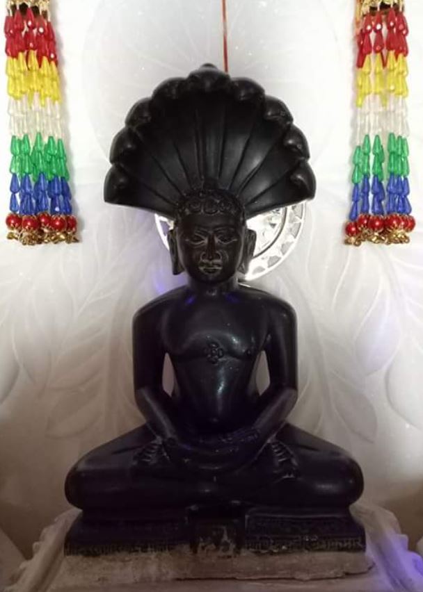 Shri Digamber Jain Atishaya Kshetra, Bori, Bid Badi, District - Alirajpur (Madhya Pradesh) image 3