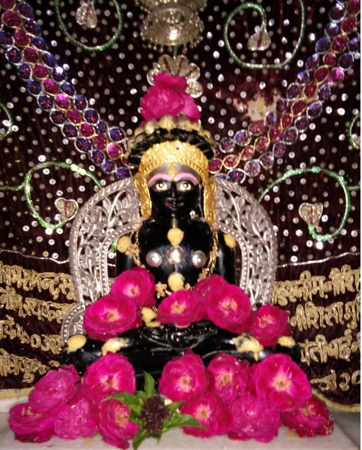 Shri Navfana Parshvnath Jain Shwetamber Mandir, Badod, District - Agar Malwa (M.P.) image 3