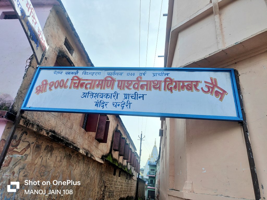 Shri Parshvnath Digamber Jain Purana Mandir, Chanderi, District-Ashoknagar (M.P.) image 10