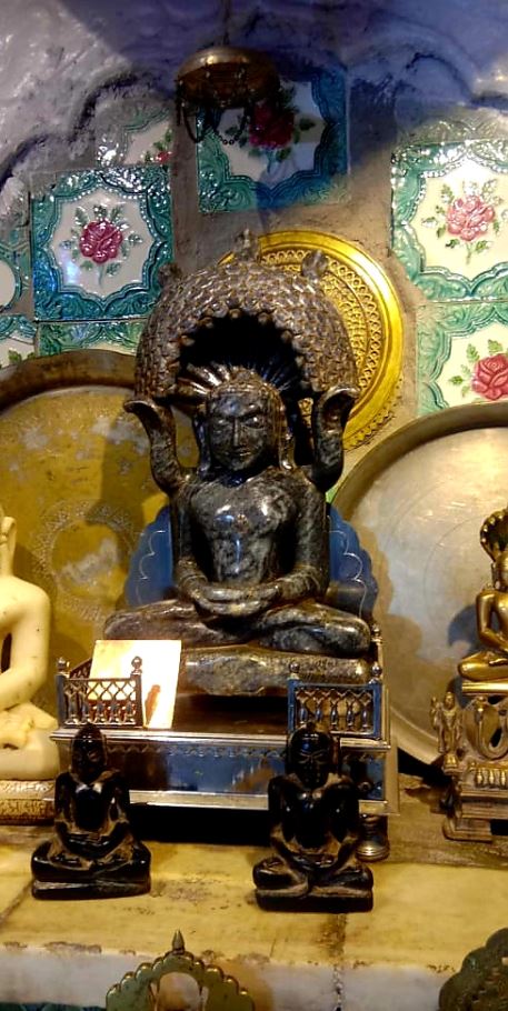 Shri Parshvnath Digamber Jain Mandir, Mahana, District - Ashoknagar (M.P.) image 2