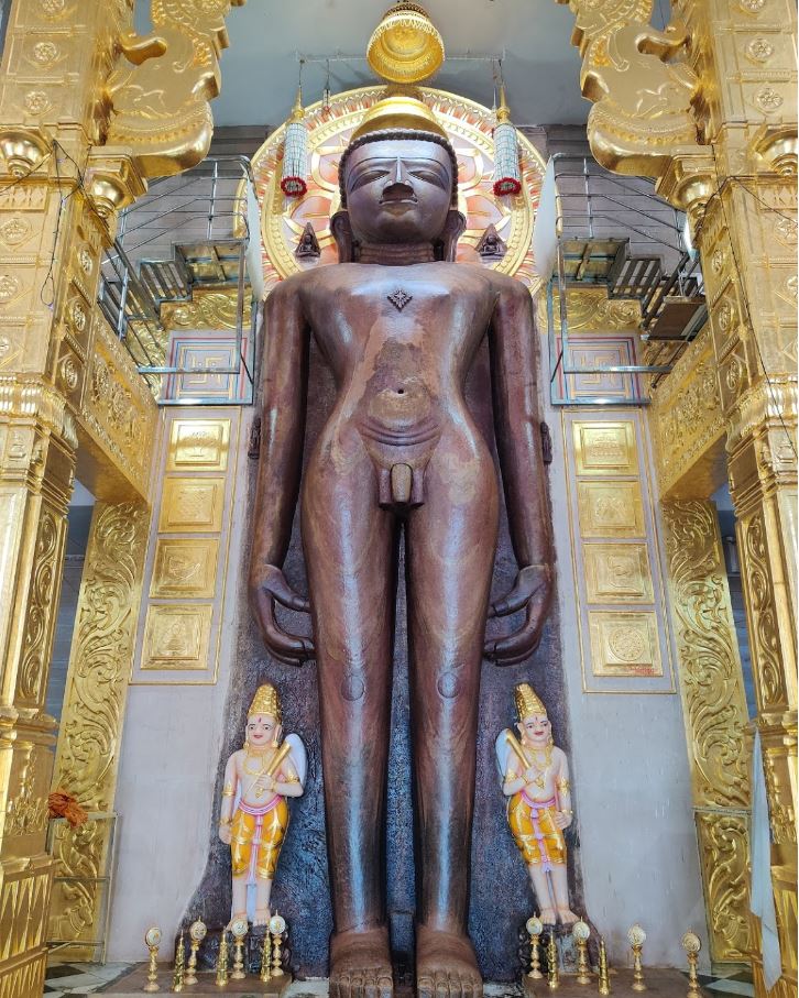 Shri Darshanodaya Digamber Atishaya Kshetra Thobon Ji, Thobon, District - Ashoknagar (M.P.) image 11