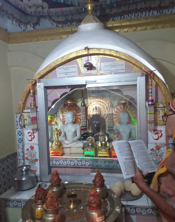 Shri Parshvnath Digamber Jain Mandir, Sanodha, District - Sagar (M.P.) image 4