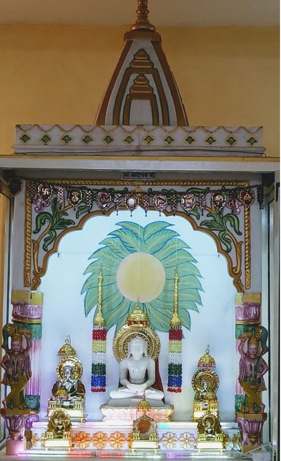 Shri 1008 Adinath Digamber Jain Mandir, Budhakhera, District - Sagar (M.P.) image 1