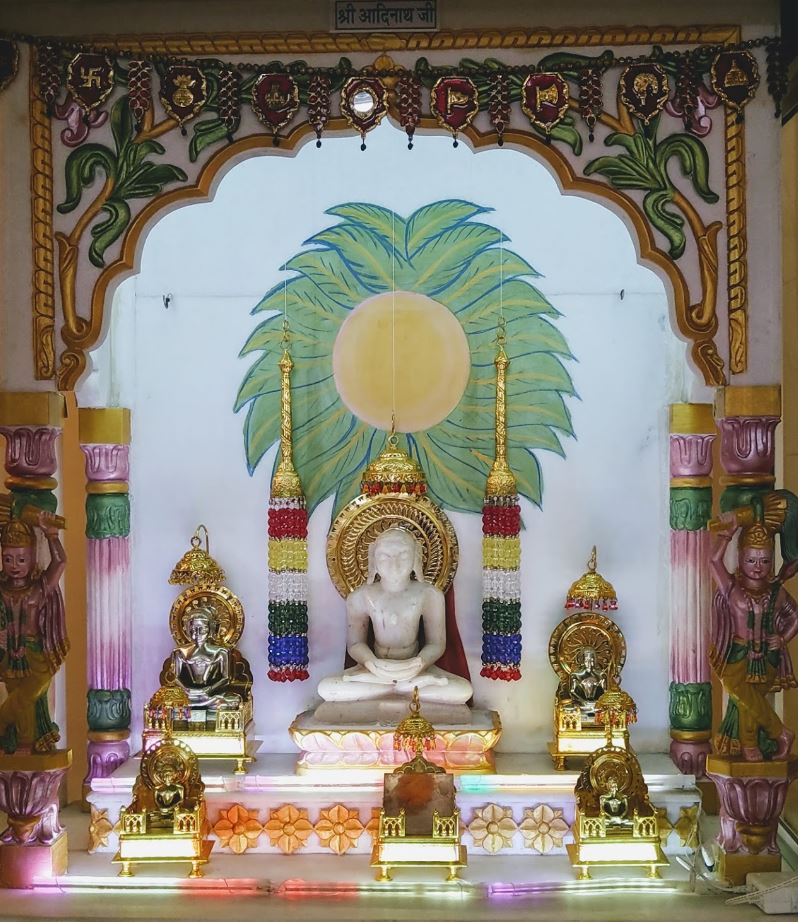 Shri 1008 Adinath Digamber Jain Mandir, Budhakhera, District - Sagar (M.P.) image 2
