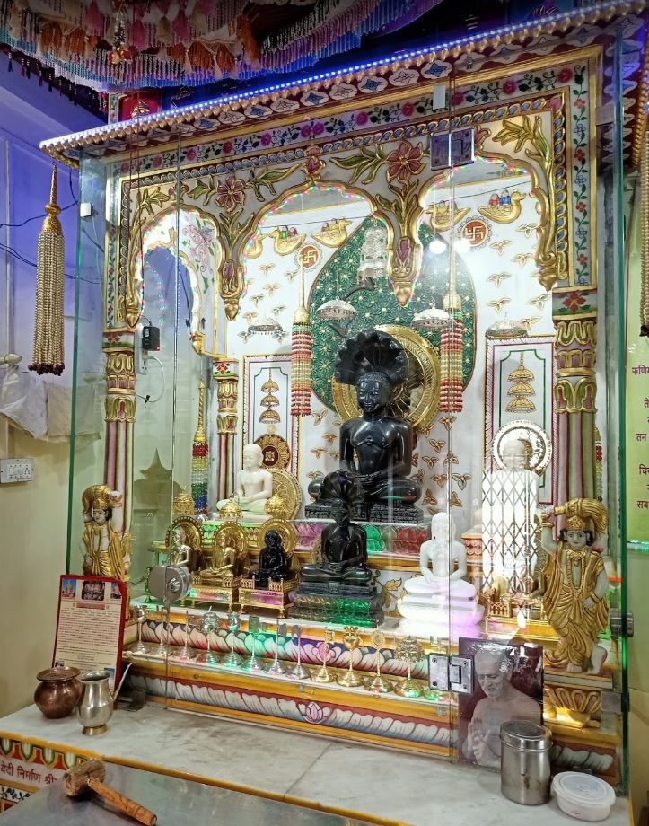 Shri Parshvnath Digamber Jain Mandir Atishaya Kshetra, Apchand, District - Sagar (M.P.) image 3