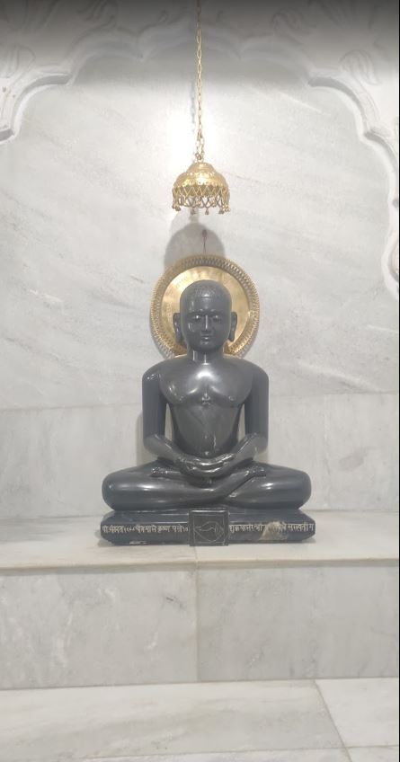 Shri Digamber Jain Mandir, Sausar, District - Chhindwara (M.P.) image 1