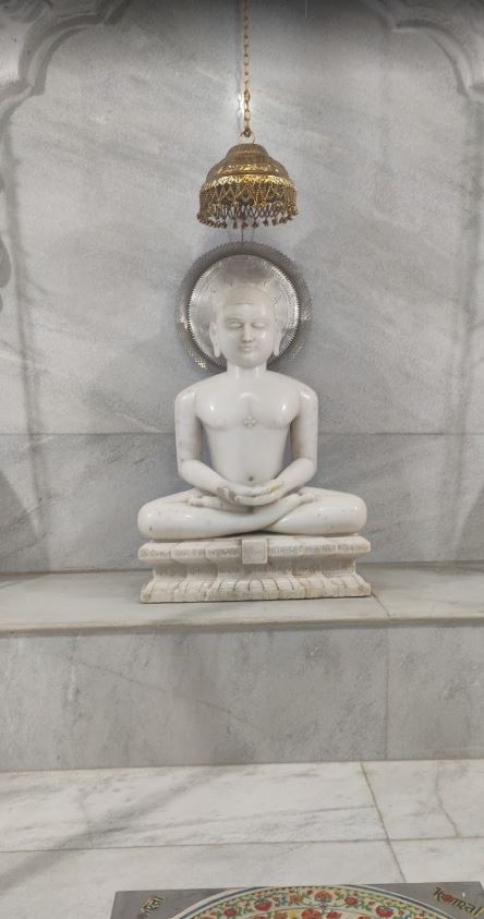 Shri Digamber Jain Mandir, Sausar, District - Chhindwara (M.P.) image 3