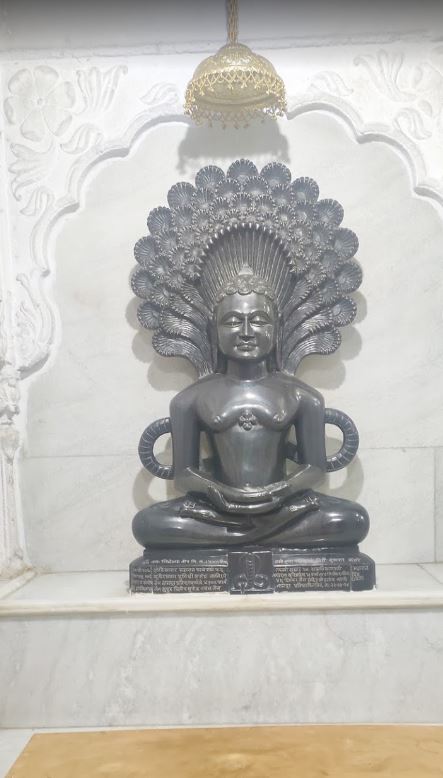 Shri Digamber Jain Mandir, Sausar, District - Chhindwara (M.P.) image 5