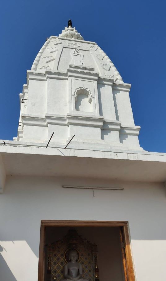 Shri Adinath Digamber Jain Mandir, Umreth, District - Chhindwara (M.P.) image 4