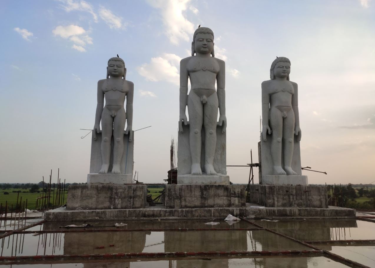 Viragodaya Tirth Dharmdham Digamber Jain Atishaya Kshetra, Patharia, District - Damoh (Madhya Pradesh) image 6
