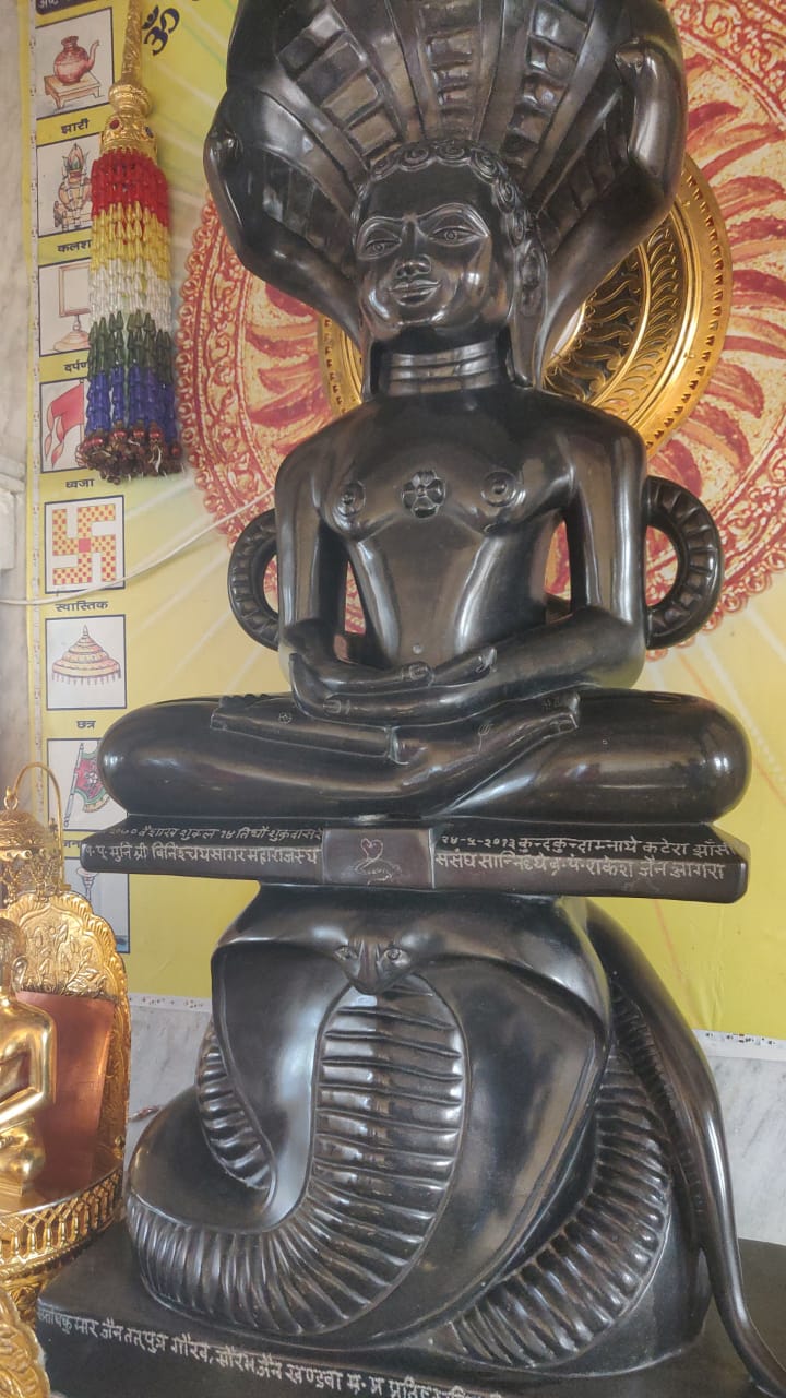 Viragodaya Tirth Dharmdham Digamber Jain Atishaya Kshetra, Patharia, District - Damoh (Madhya Pradesh) image 10