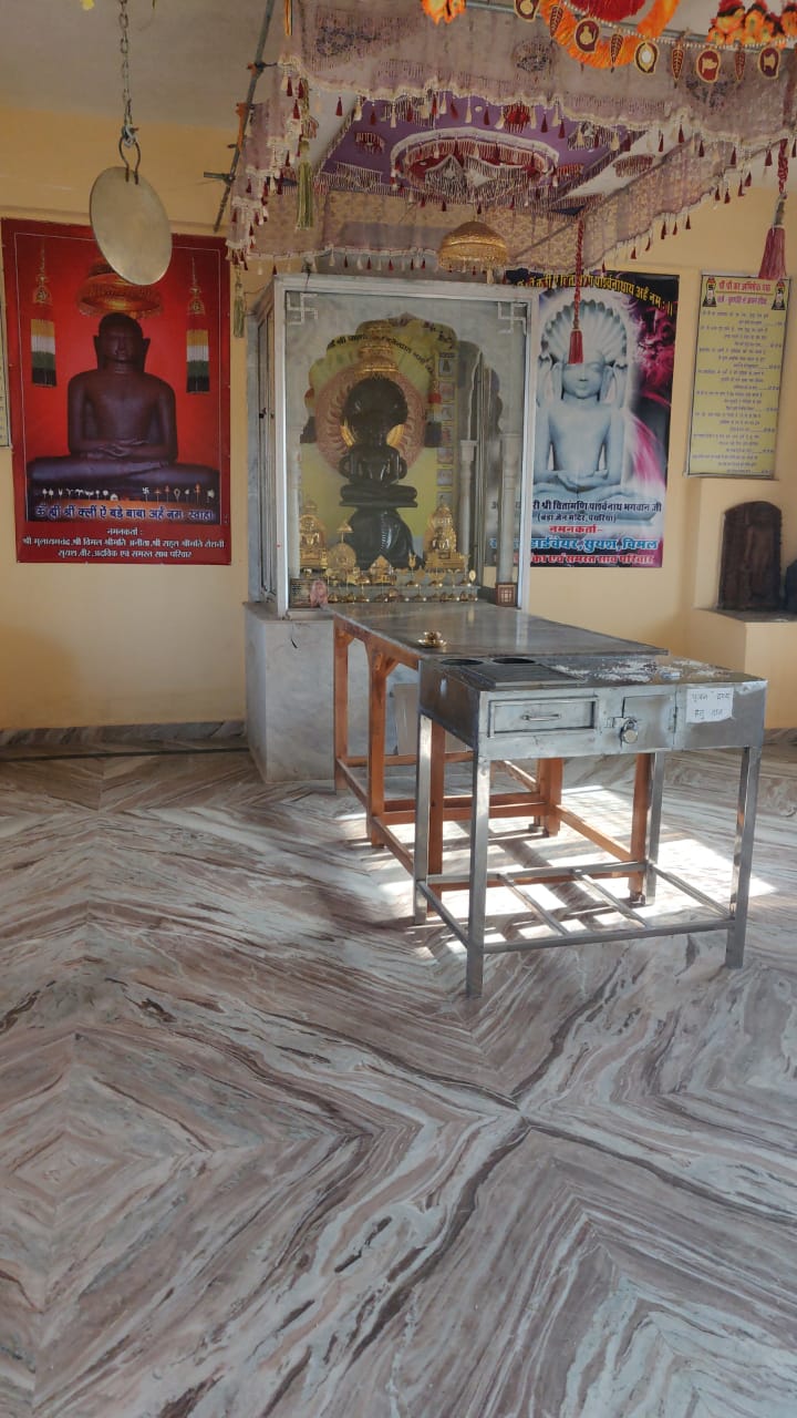 Viragodaya Tirth Dharmdham Digamber Jain Atishaya Kshetra, Patharia, District - Damoh (Madhya Pradesh) image 11