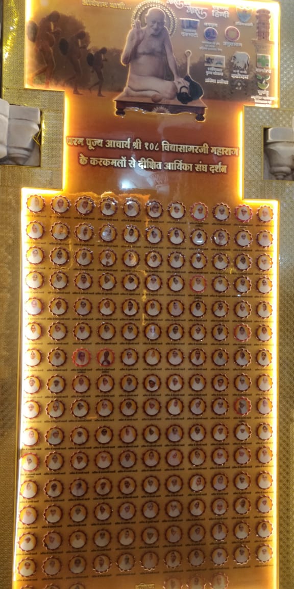 Shri 1008 Neminath Digamber Jain Mandir, Satwas, District - Dewas (M.P.) image 11