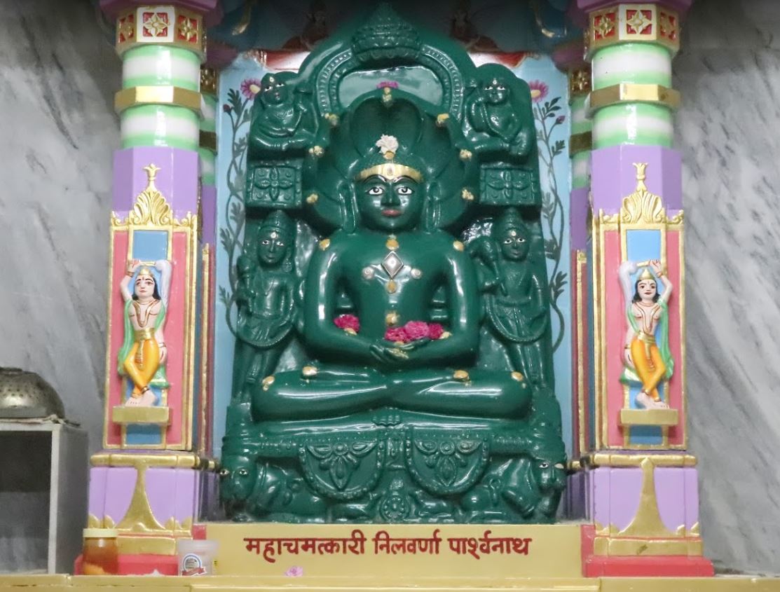 Mandavgarh Suparshvnath Shwetamber Jain Tirth, Mandu, Mandav, District - Dhar (M.P.) image 4