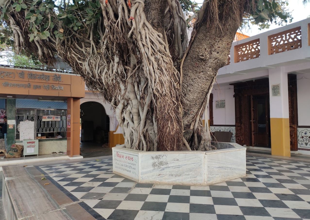 Shri Mohankheda Shwetamber Jain Mahatirth, Rajgarh, District - Dhar (Madhya Pradesh) image 7