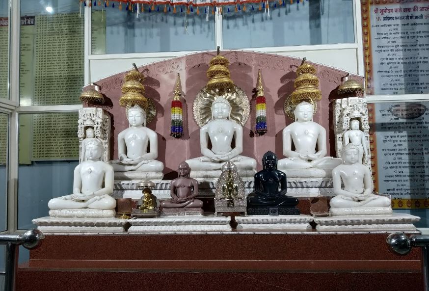 Shri Adinath Digamber Jain Shubhodaya Atishaya Tirth Kshetra, Chachaura-Binaganj, District - Guna (M.P.) image 1