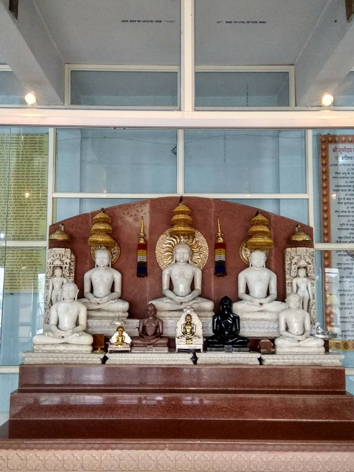 Shri Adinath Digamber Jain Shubhodaya Atishaya Tirth Kshetra, Chachaura-Binaganj, District - Guna (M.P.) thumbnail 2